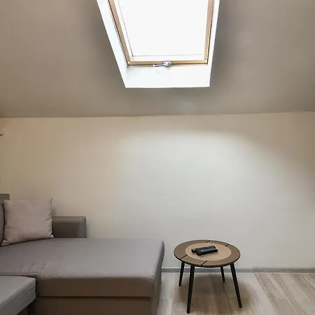 Apartment Budget In Center Unde Roof